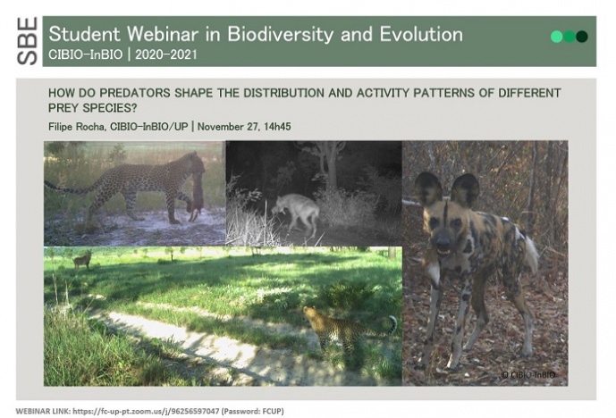 How do predators shape the distribution and activity patterns of different prey species?
