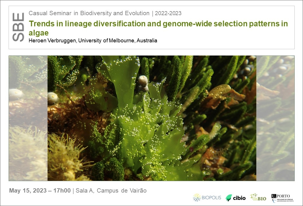 Trends in lineage diversification and genome-wide selection patterns in algae