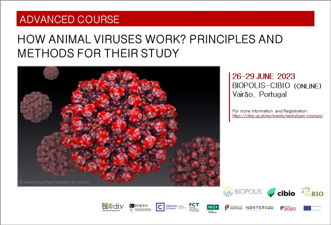How Animal Viruses Work? Principles and Methods for their Study