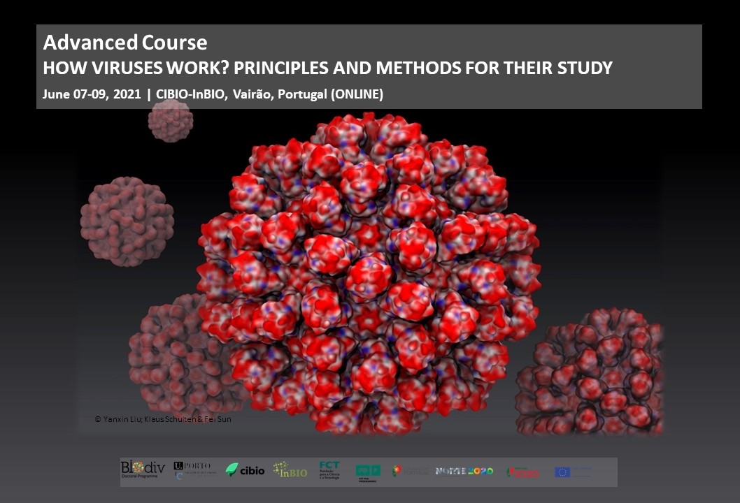 How viruses work? Principles and methods for their study