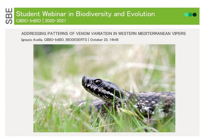 Addressing patterns of venom variation in Western Mediterranean vipers
