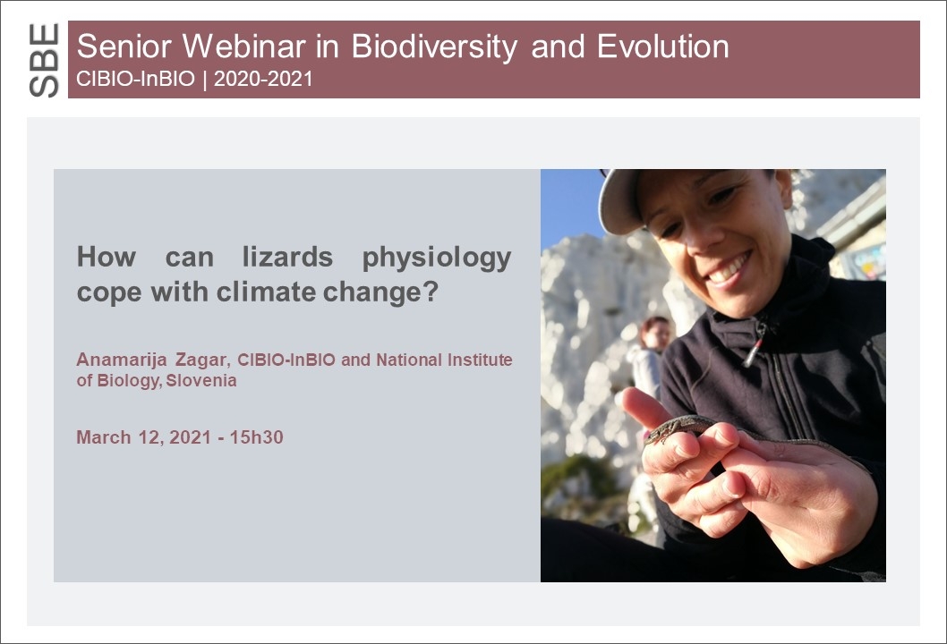 How can lizards physiology cope with climate change?