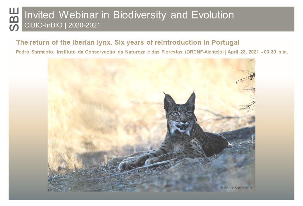 The return of the Iberian lynx. Six year of reintroduction in Portugal