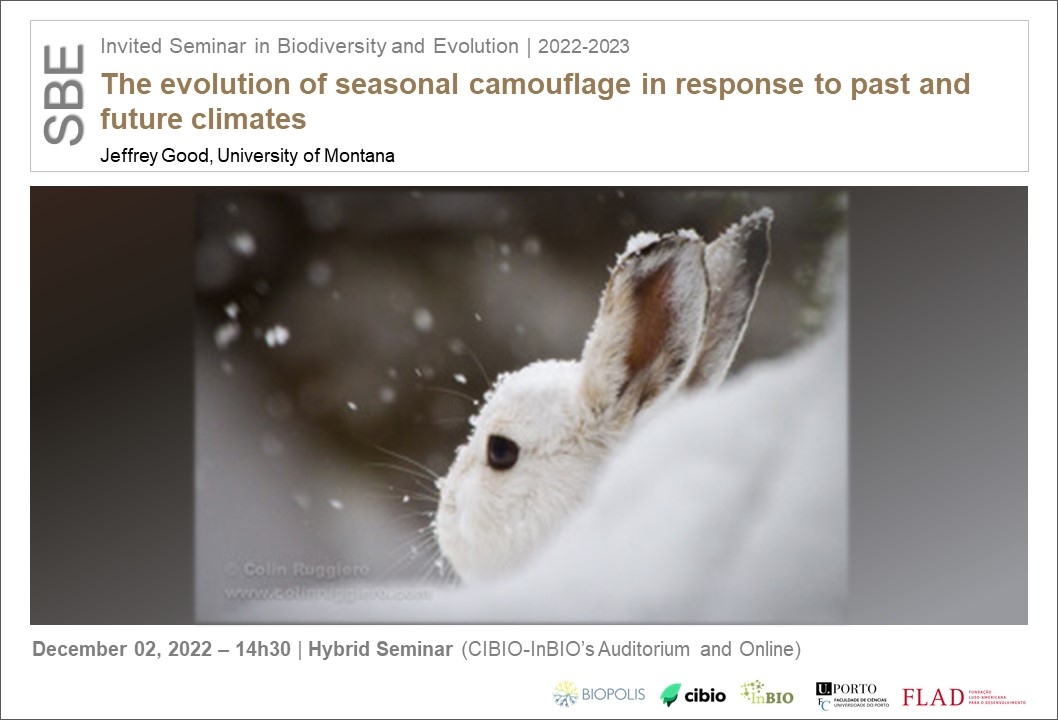 The evolution of seasonal camouflage in response to past and future climates