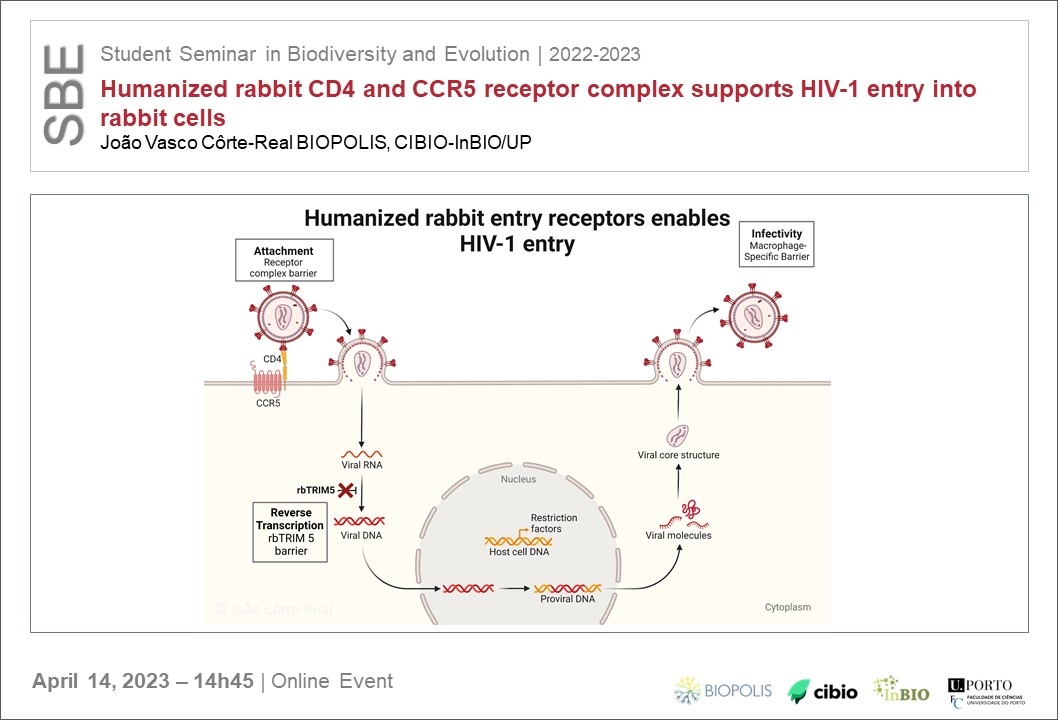 Humanized rabbit CD4 and CCR5 receptor complex supports HIV-1 entry into rabbit cells