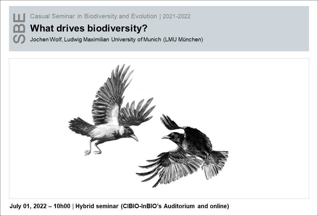 What drives biodiversity?