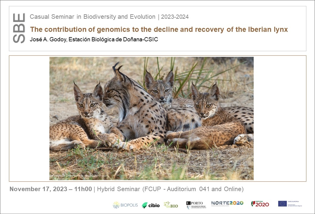 The contribution of genomics to the decline and recovery of the Iberian lynx