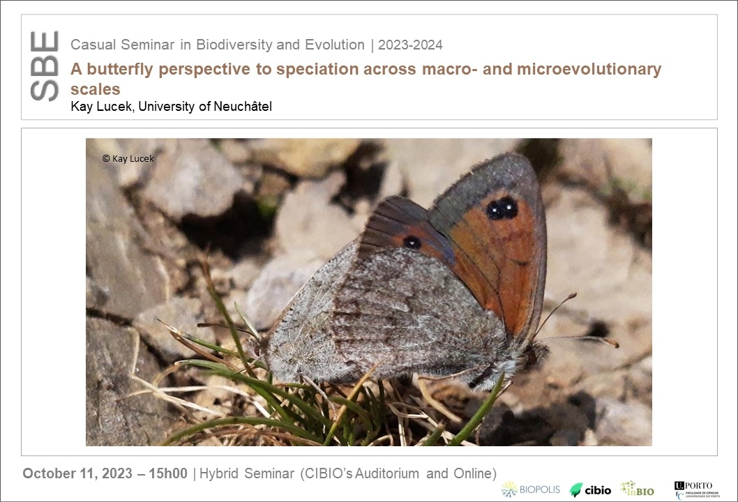 A butterfly perspective to speciation across macro- and microevolutionary scales