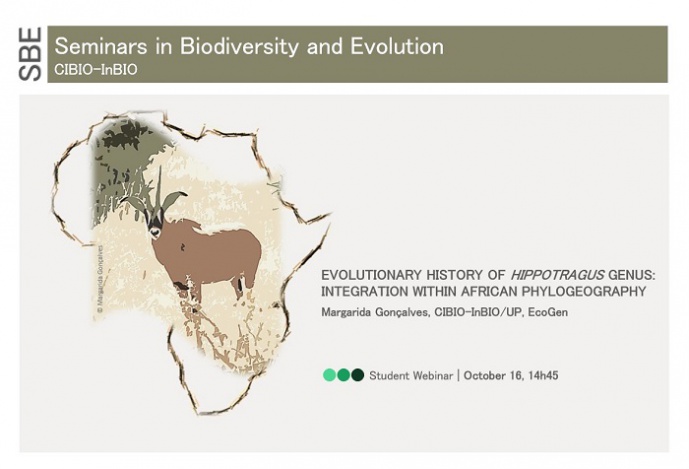 Evolutionary history of Hippotragus genus: integration within African phylogeography
