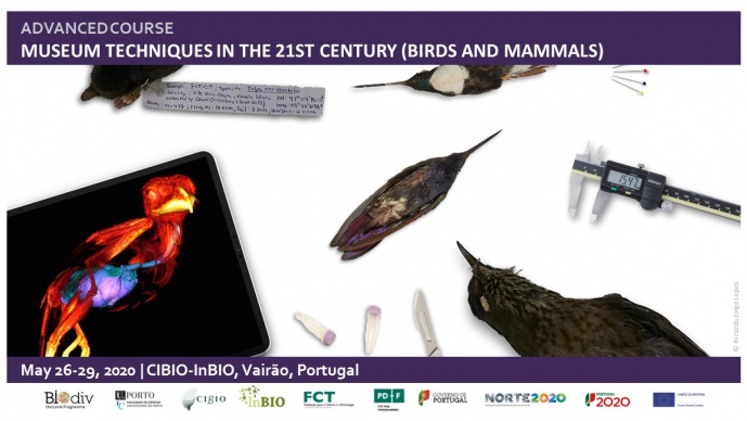 Museum techniques in the 21st century (birds and mammals) (CANCELLED)