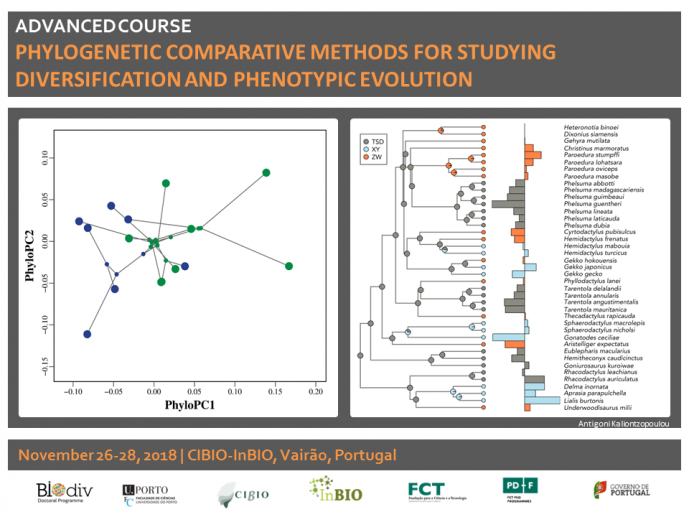 ADVANCED COURSE: PHYLOGENETIC COMPARATIVE METHODS FOR STUDYING DIVERSIFICATION AND PHENOTYPIC EVOLUTION