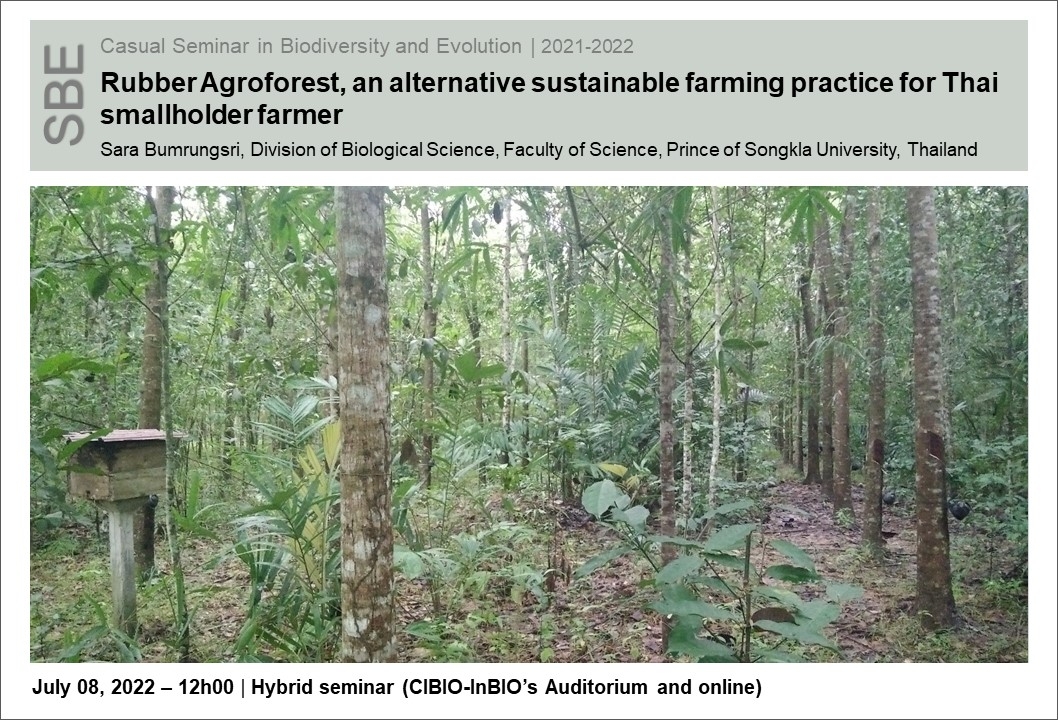Rubber Agroforest, an alternative sustainable farming practice for Thai smallholder farmer