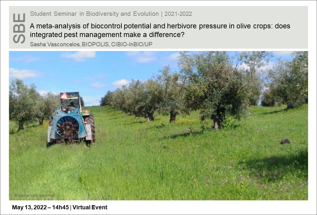 A meta-analysis of biocontrol potential and herbivore pressure in olive crops: does integrated pest management make a difference?