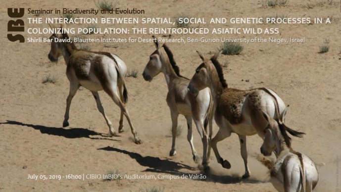 THE INTERACTION BETWEEN SPATIAL, SOCIAL AND GENETIC PROCESSES IN A COLONIZING POPULATION: THE REINTRODUCED ASIATIC WILD ASS