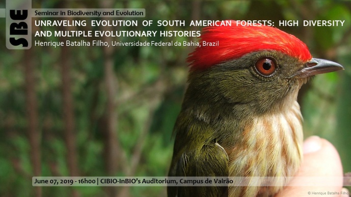 UNRAVELING EVOLUTION OF SOUTH AMERICAN FORESTS: HIGH DIVERSITY AND MULTIPLE EVOLUTIONARY HISTORIES