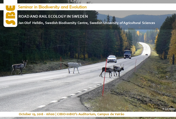 ROAD AND RAIL ECOLOGY IN SWEDEN