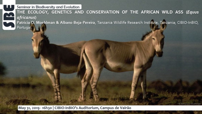 THE ECOLOGY, GENETICS AND CONSERVATION OF THE AFRICAN WILD ASS (Equus africanus)