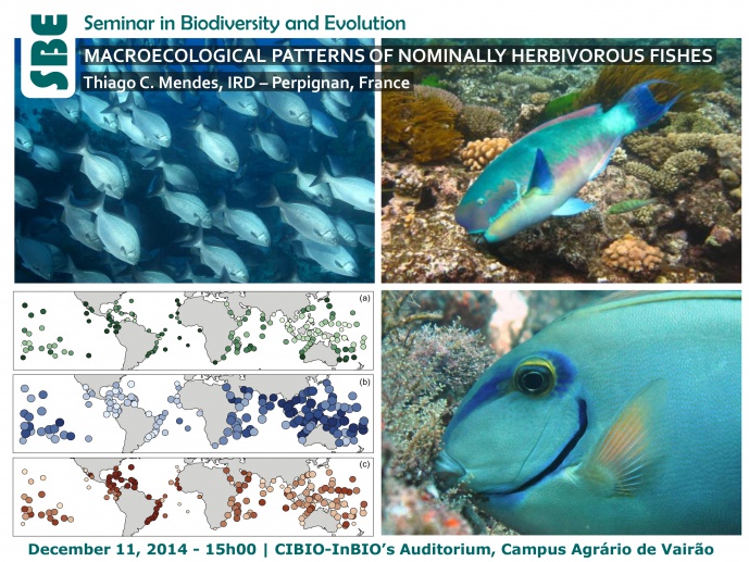 MACROECOLOGICAL PATTERNS OF NOMINALLY HERBIVOROUS FISHES