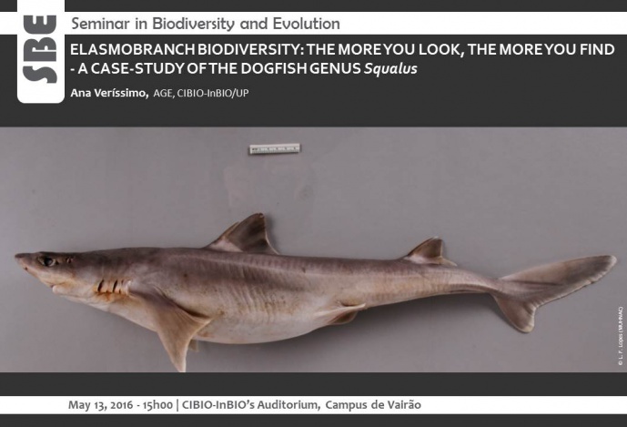 ELASMOBRANCH BIODIVERSITY: THE MORE YOU LOOK, THE MORE YOU FIND - A CASE-STUDY OF THE DOGFISH GENUS Squalus