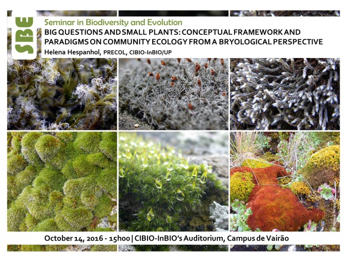 BIG QUESTIONS AND SMALL PLANTS: CONCEPTUAL FRAMEWORK AND PARADIGMS ON COMMUNITY ECOLOGY FROM A BRYOLOGICAL PERSPECTIVE
