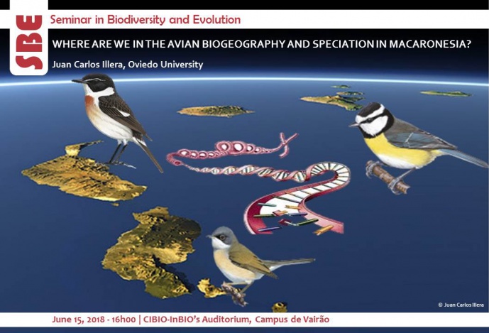 WHERE ARE WE IN THE AVIAN BIOGEOGRAPHY AND SPECIATION IN MACARONESIA?