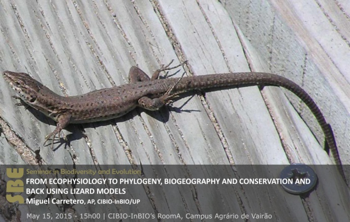 FROM ECOPHYSIOLOGY TO PHYLOGENY, BIOGEOGRAPHY AND CONSERVATION AND BACK USING LIZARD MODELS