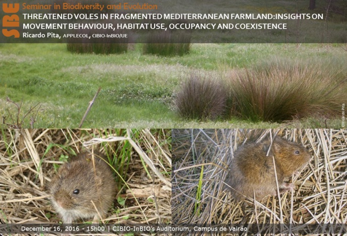 THREATENED VOLES IN FRAGMENTED MEDITERRANEAN FARMLAND: INSIGHTS ON MOVEMENT BEHAVIOUR, HABITAT USE, OCCUPANCY AND COEXISTENCE