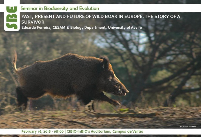 PAST, PRESENT AND FUTURE OF WILD BOAR IN EUROPE: THE STORY OF A SURVIVOR