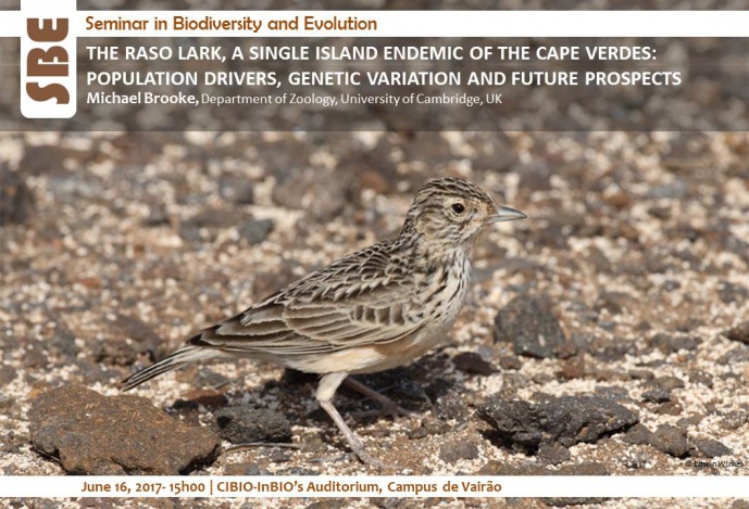 THE RASO LARK, A SINGLE ISLAND ENDEMIC OF THE CAPE VERDES: POPULATION DRIVERS, GENETIC VARIATION AND FUTURE PROSPECTS