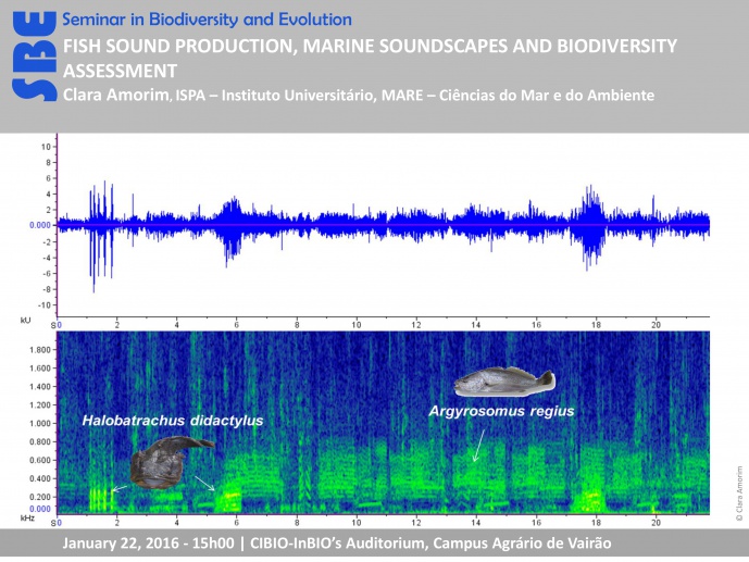 FISH SOUND PRODUCTION, MARINE SOUNDSCAPES AND BIODIVERSITY