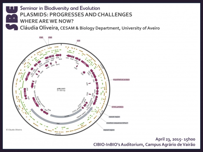 PLASMIDS: PROGRESSES AND CHALLENGES - WHERE ARE WE NOW?