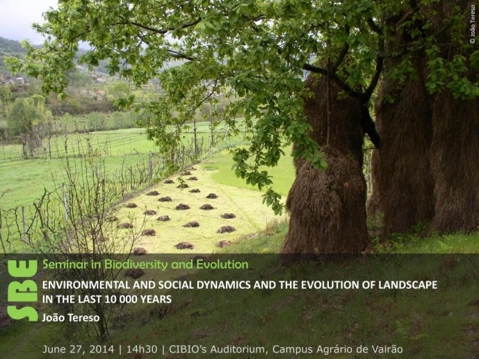 ENVIRONMENTAL AND SOCIAL DYNAMICS AND THE EVOLUTION OF LANDSCAPE IN THE LAST 10 000 YEARS