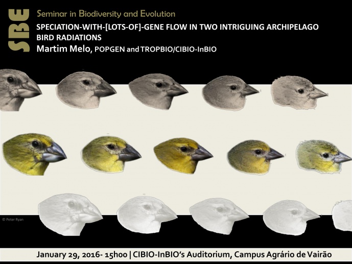 SPECIATION-WITH-[LOTS-OF]-GENE FLOW IN TWO INTRIGUING ARCHIPELAGO BIRD RADIATIONS