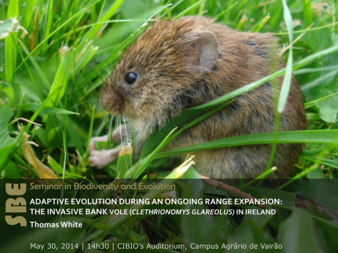 ADAPTIVE EVOLUTION DURING AN ONGOING RANGE EXPANSION: THE INVASIVE BANK VOLE (CLETHRIONOMYS GLAREOLUS) IN IRELAND