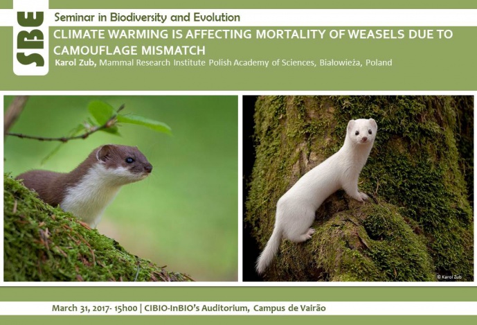 CLIMATE WARMING IS AFFECTING MORTALITY OF WEASELS DUE TO CAMOUFLAGE MISMATCH
