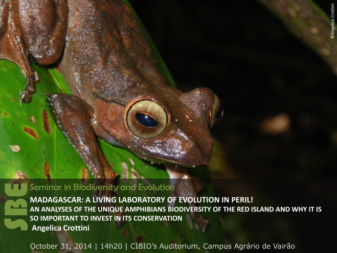 MADAGASCAR: A LIVING LABORATORY OF EVOLUTION IN PERIL!  AN ANALYSES OF THE UNIQUE AMPHIBIANS BIODIVERSITY OF THE RED ISLAND AND WHY IT IS SO IMPORTANT TO INVEST IN ITS CONSERVATION