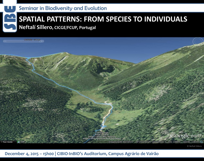 SPATIAL PATTERNS: FROM SPECIES TO INDIVIDUALS