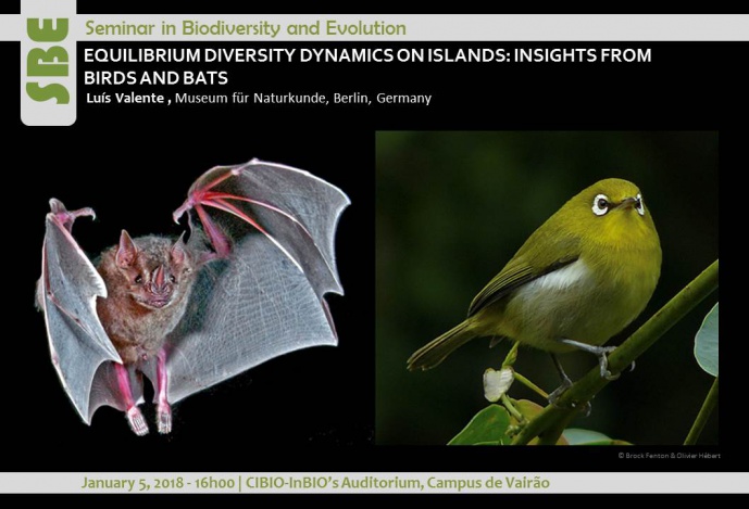 EQUILIBRIUM DIVERSITY DYNAMICS ON ISLANDS: INSIGHTS FROM BIRDS AND BATS