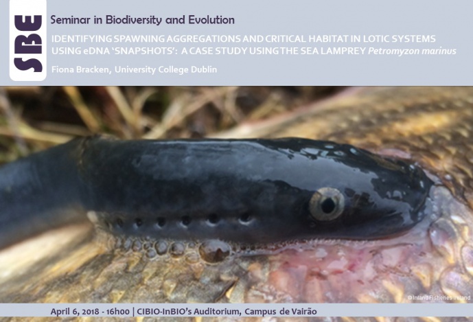 IDENTIFYING SPAWNING AGGREGATIONS AND CRITICAL HABITAT IN LOTIC SYSTEMS USING eDNA ‘SNAPSHOTS’: A CASE STUDY USING THE SEA LAMPREY Petromyzon marinus
