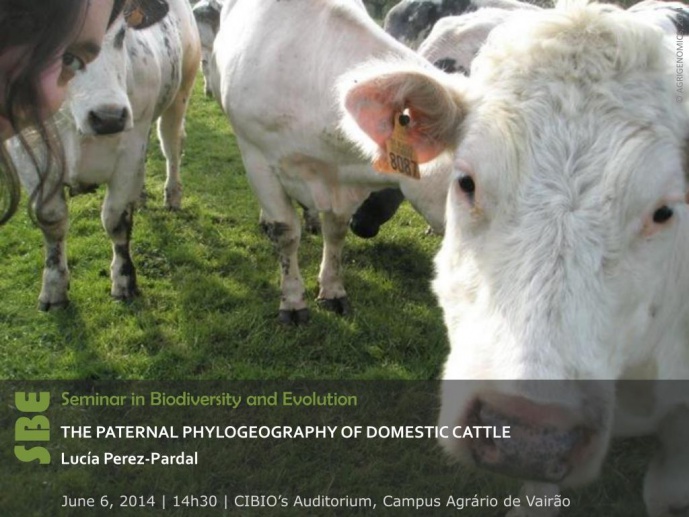 THE PATERNAL PHYLOGEOGRAPHY OF DOMESTIC CATTLE