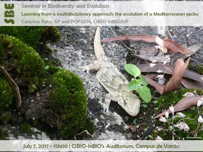 LEARNING FROM A MULTIDISCIPLINARY APPROACH:THE EVOLUTION OF A MEDITERRANEAN GECKO