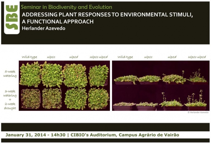 ADDRESSING PLANT RESPONSES TO ENVIRONMENTAL STIMULI, A FUNCTIONAL APPROACH