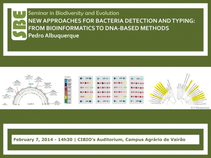 NEW APPROACHES FOR BACTERIA DETECTION AND TYPING: FROM BIOINFORMATICS TO DNA-BASED METHODS