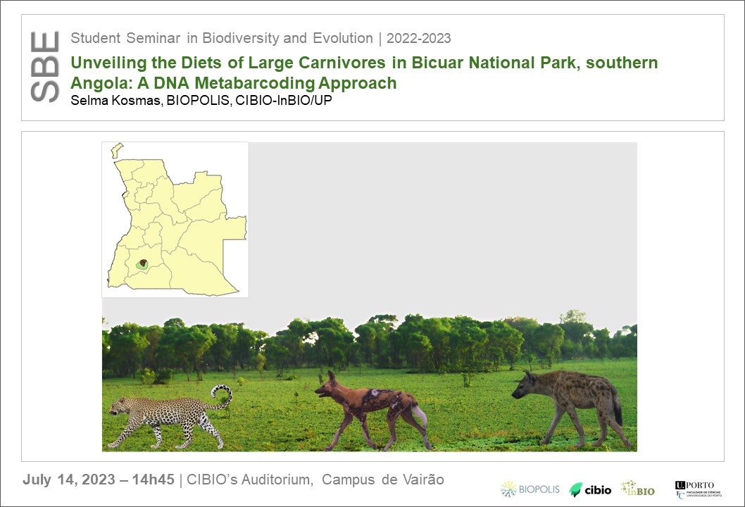 Unveiling the Diets of Large Carnivores in Bicuar National Park, southern Angola: A DNA Metabarcoding Approach