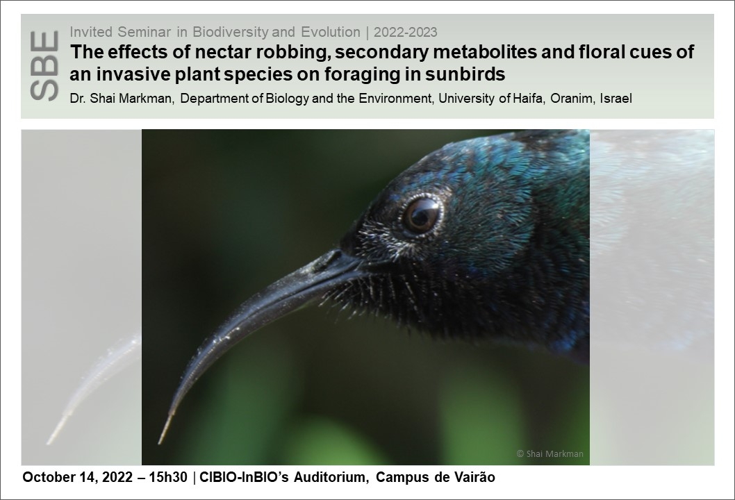 The effects of nectar robbing, secondary metabolites and floral cues of an invasive plant species on foraging in sunbirds