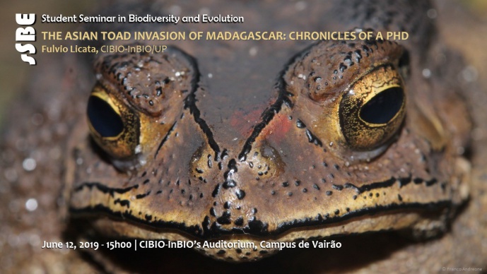 THE ASIAN TOAD INVASION OF MADAGASCAR: CHRONICLES OF A PHD