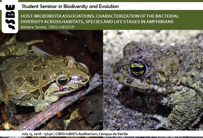HOST-MICROBIOTA ASSOCIATIONS: CHARACTERIZATION OF THE BACTERIAL DIVERSITY ACROSS HABITATS, SPECIES AND LIFE STAGES IN AMPHIBIANS