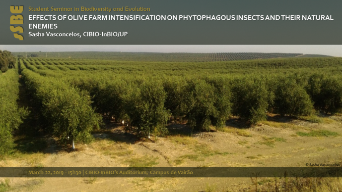 EFFECTS OF OLIVE FARM INTENSIFICATION ON PHYTOPHAGOUS INSECTS AND THEIR NATURAL ENEMIES