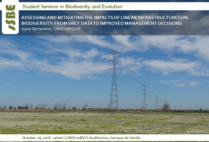 ASSESSING AND MITIGATING THE IMPACTS OF LINEAR INFRASTRUCTURES ON BIODIVERSITY: FROM GREY DATA TO IMPROVED MANAGEMENT DECISIONS