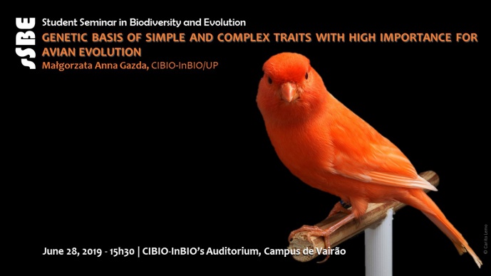 GENETIC BASIS OF SIMPLE AND COMPLEX TRAITS WITH HIGH IMPORTANCE FOR AVIAN EVOLUTION